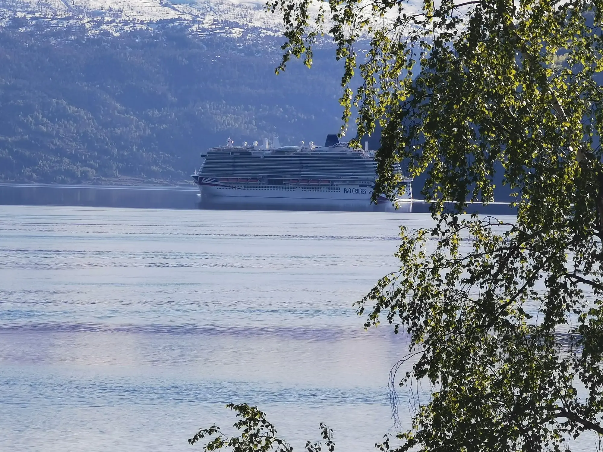 Cruise ship sailing through the Nordfjord